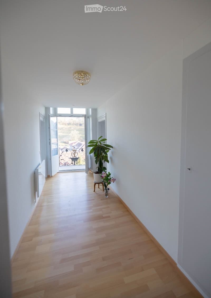 Empty hallway with wooden floor, white walls, open door to balcony, potted plants