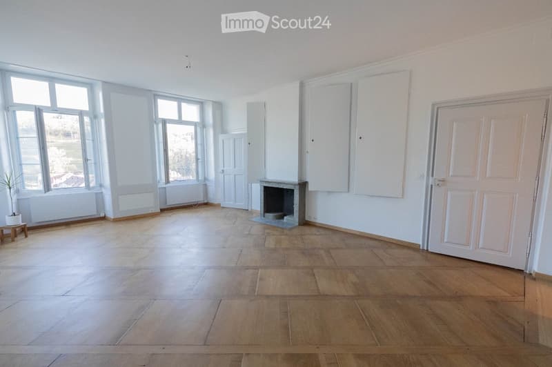 empty room, wooden floor, fireplace, white walls, large windows, potted plant