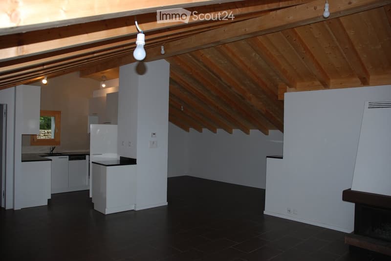 empty room, white walls, black floor, wooden ceiling, kitchen area, fireplace