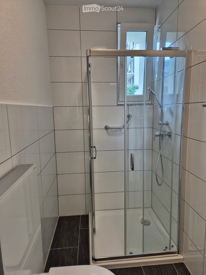Modern bathroom with a glass-enclosed shower stall, tiled walls, and a dark tiled floor.