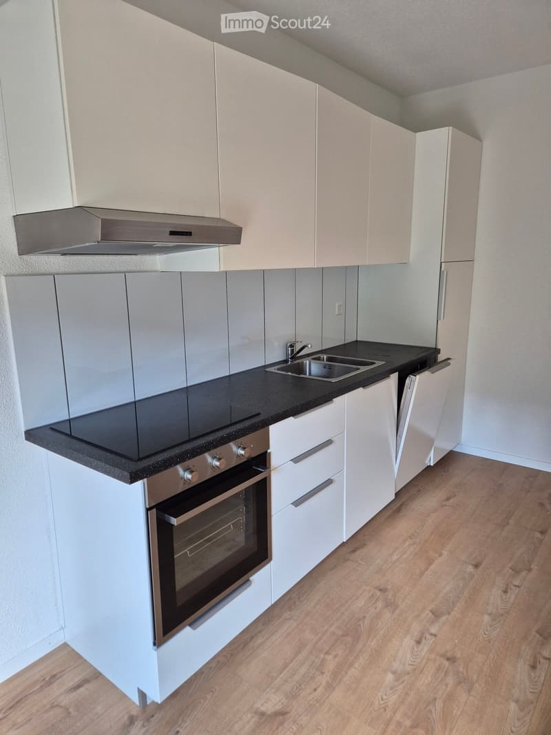 Modern kitchen with white cabinets, black countertops, stainless steel oven, sink, and range hood. Wooden flooring.