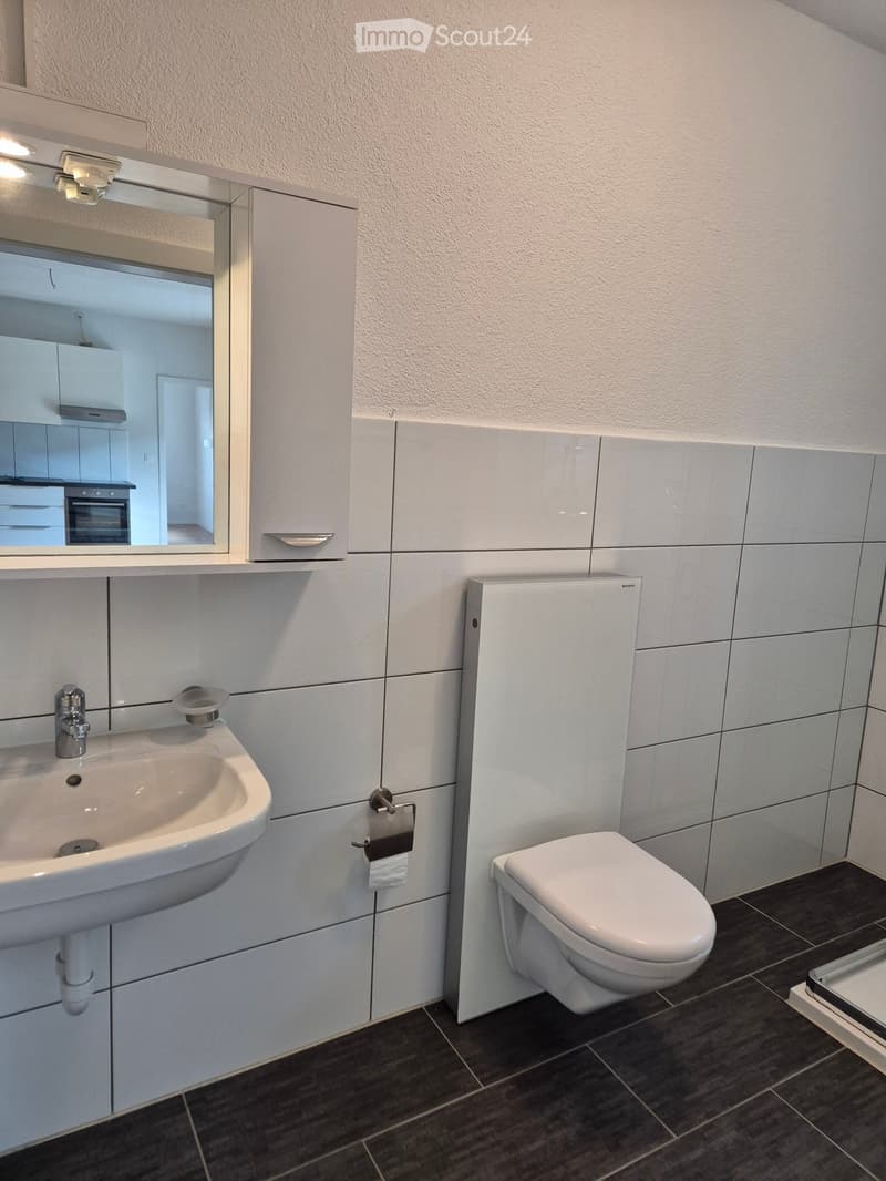 Modern bathroom with a white sink, chrome faucet, toilet, large mirror, and built-in cabinet.