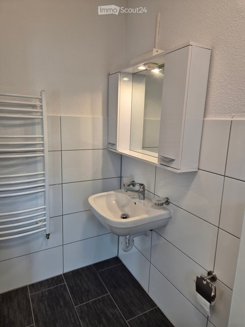 Modern bathroom with white tiled walls, dark tiled floor, white sink with chrome faucet, mirrored cabinet, and towel rack.