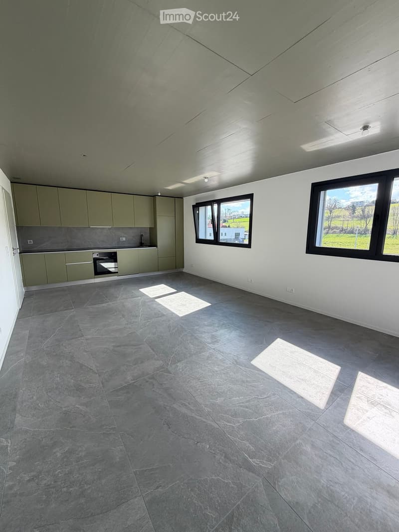 empty room, gray tiles, white walls, green cabinets, large windows, kitchen area