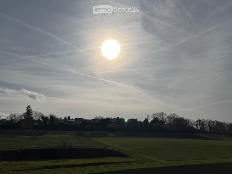 green field, trees, houses, bright sun, cloudy sky