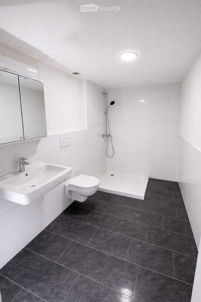 Bathroom with white tiles, white sink, white toilet, shower, mirror, and ceiling light