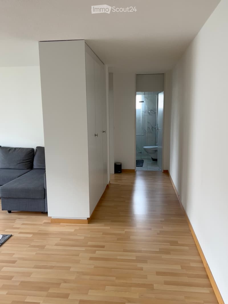 A modern hallway with light wooden flooring, white walls, and a grey sofa on the left side. A small black trash bin is visible near the bathroom entrance.