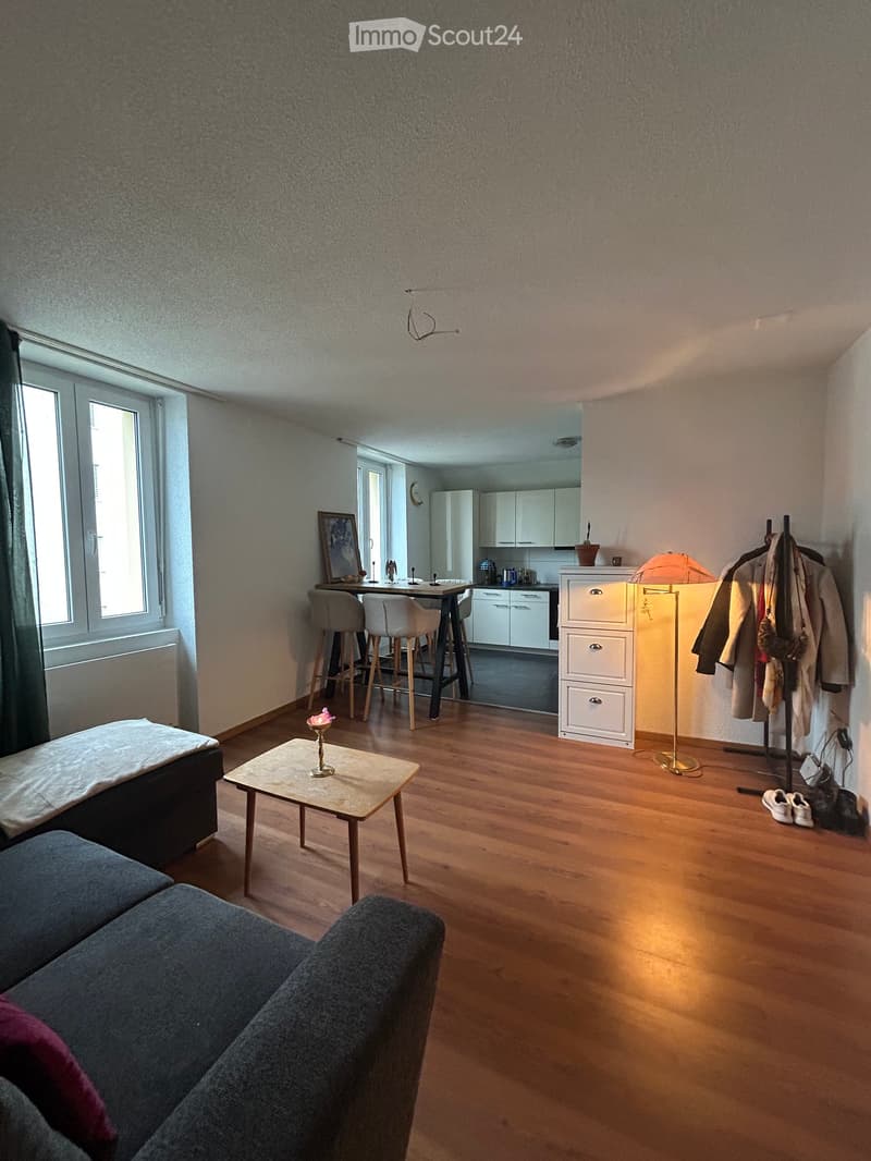 Living room with sofa, coffee table, dining table, chairs, radiator, window, wooden floor, kitchen