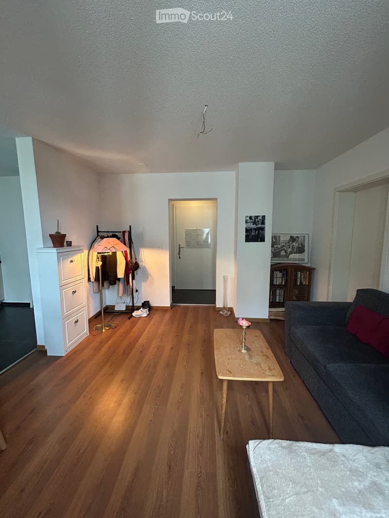 wooden floor, white walls, gray couch, wooden coffee table, dresser, rack with clothes, small vase, shelf with books