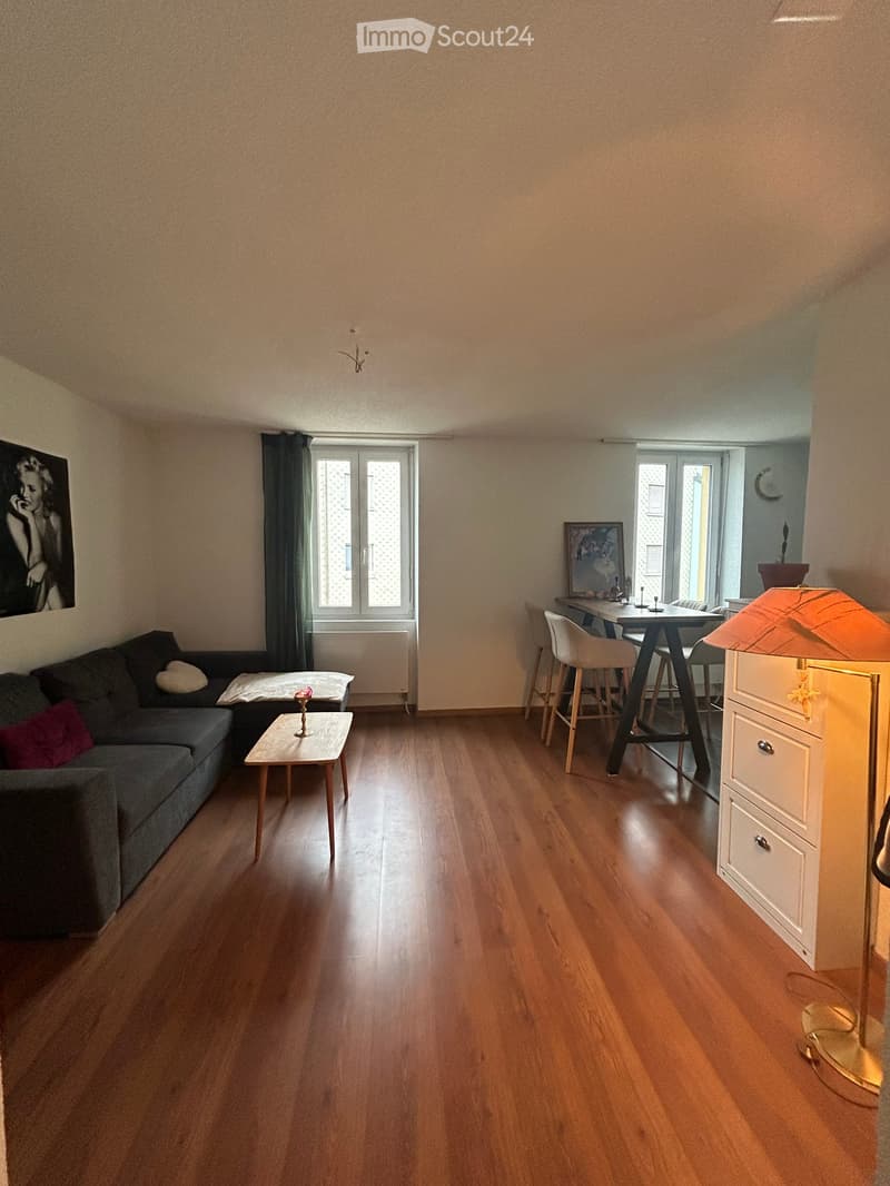 Open plan living and dining area with a wooden floor, sofa, coffee table, dining table, 4 chairs, picture frame, lamp, radiator, and painting.