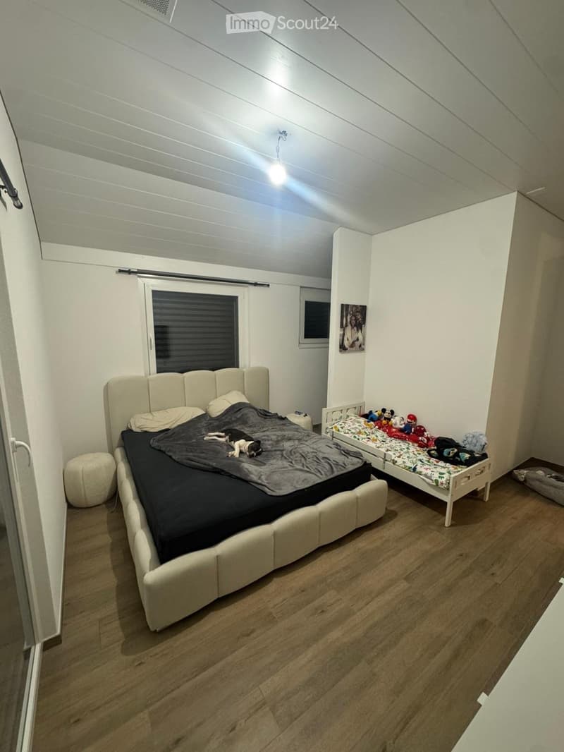 A bedroom with a large bed, a small bed, a dog, a window, and a picture on the wall.
