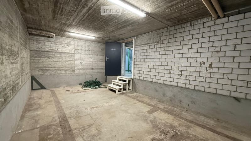 Empty room with concrete walls, white brick wall, concrete floor, two doors, one with steps, and a ceiling light