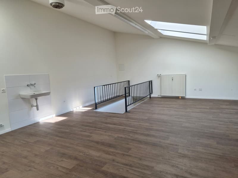 empty room, wooden floor, white walls, sink, radiator, skylight