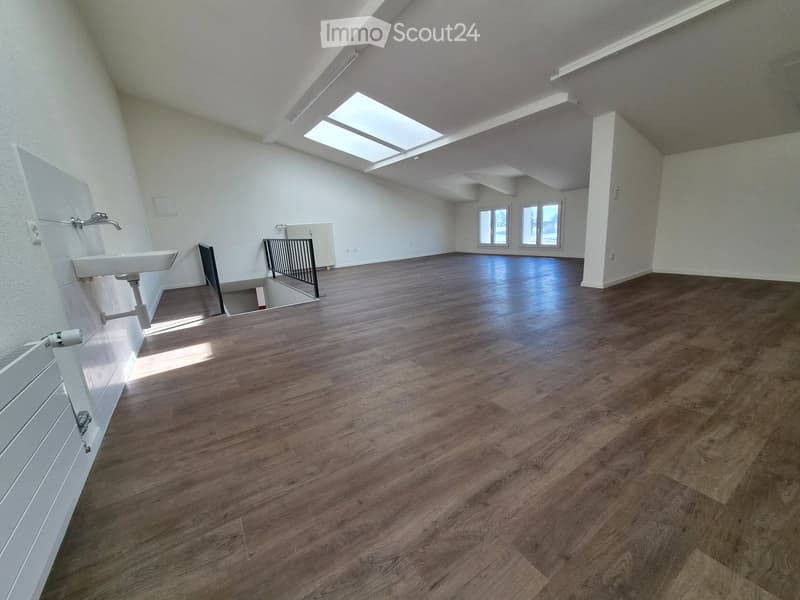 empty room, wooden floor, white walls, skylights, radiator, sink, staircase
