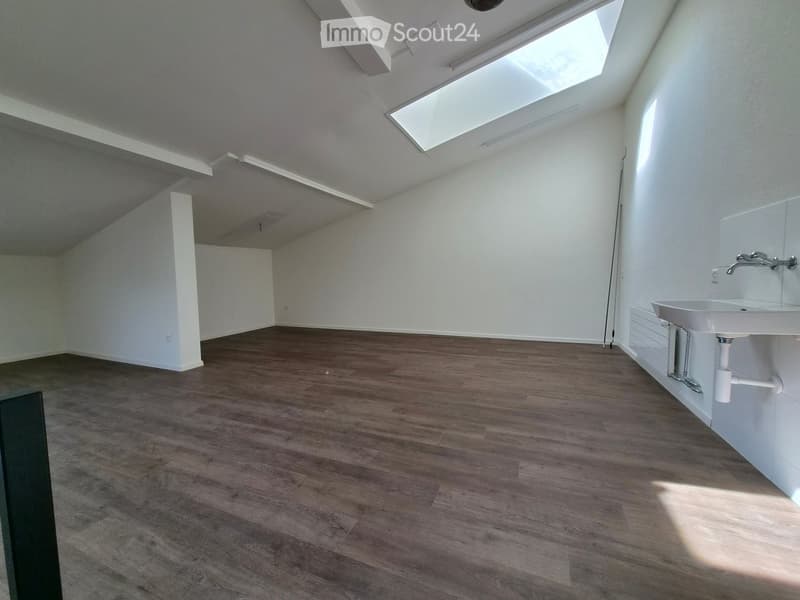 empty room, wooden floor, white walls, skylight, sink, radiator