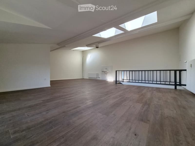 empty room, wooden floor, white walls, white ceiling, skylights, balcony
