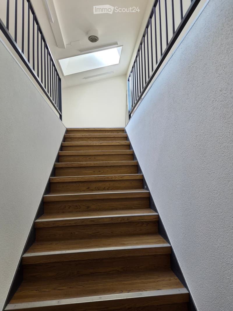 Wooden staircase with black railings, white walls, and a skylight