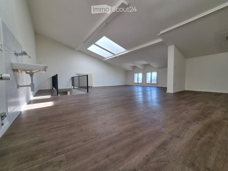 empty room, wooden floor, white walls, skylights, sink, radiator, windows
