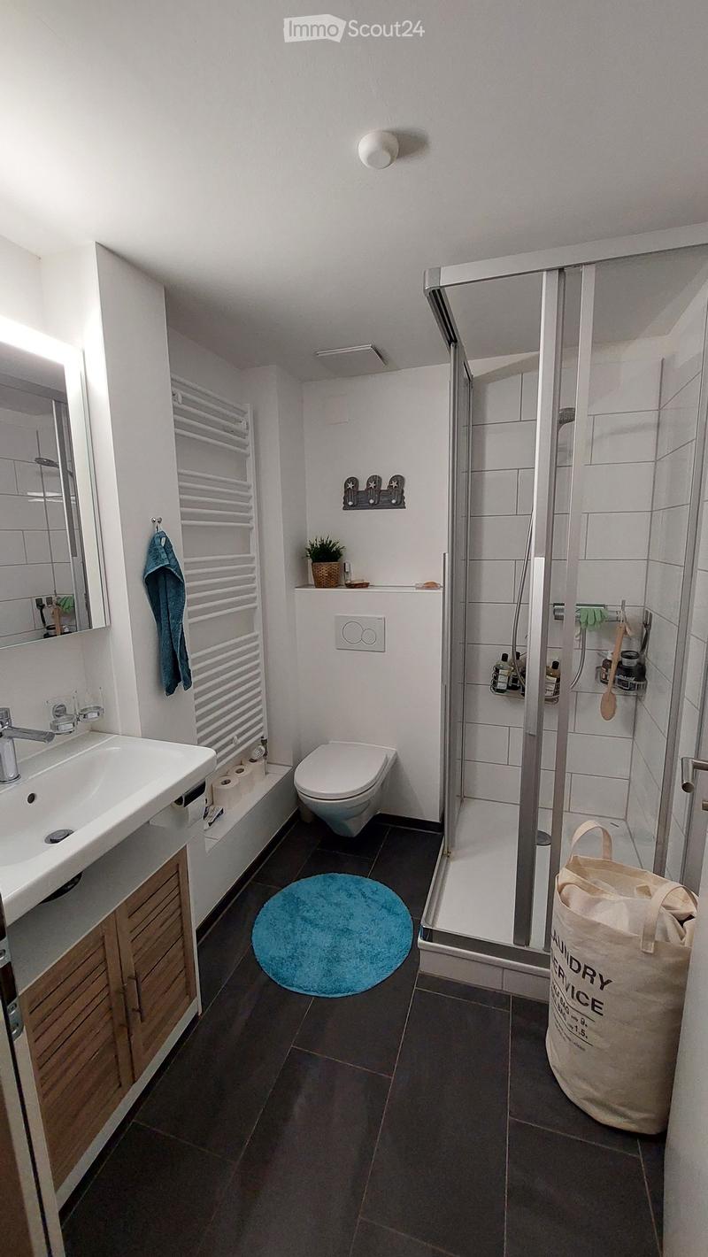 white tiles, white sink, white toilet, shower, blue rug, wooden cabinet, mirror