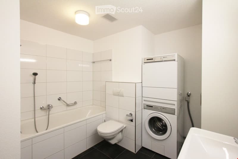 white tiles, bathtub, toilet, washing machine, dishwasher, sink, shower head