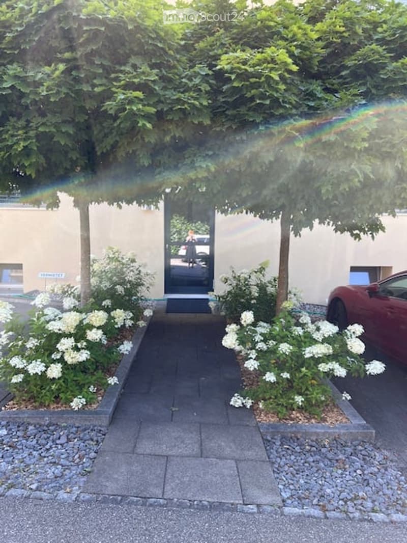 Pathway with gravel, white flowers, trees, building entrance, parked car