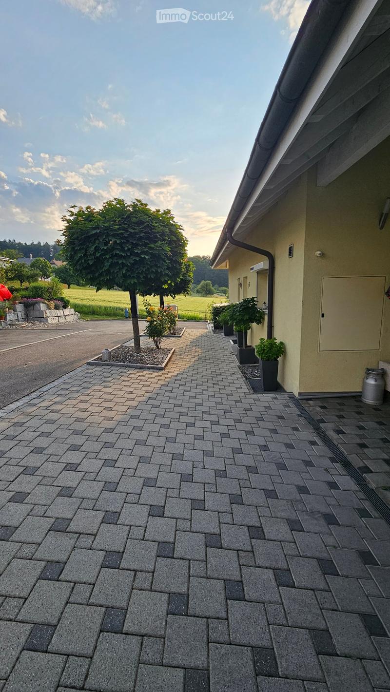 exterior brick wall, paved entrance, entrance walkway with bricks, large tree, 3 potted plants, street with white markings, road leading to open field, trees in the distance, and cloudy sky