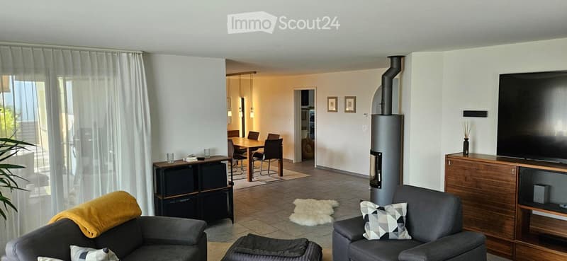 white walls, tiled floor, dining area with table and chairs, fireplace, sofa, television, curtains, rug, wooden entertainment unit, side table