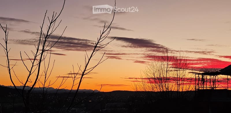 sunset over cityscape with mountains in background, bare trees in foreground