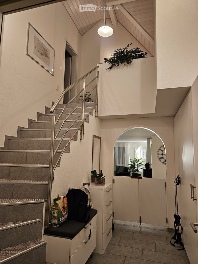 Stone staircase, white wall, tiled floor, metal handrail, picture frame, mirror, plants, cabinet, storage box, bags, rack with clothes hanging