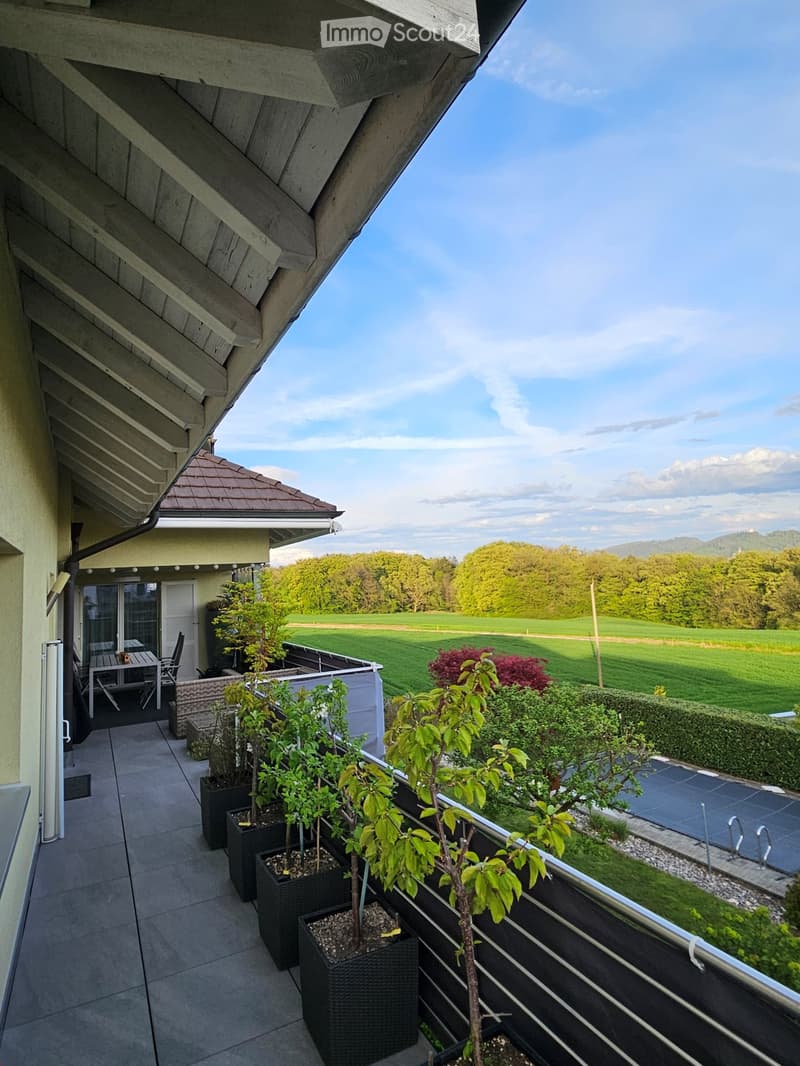 Large balcony with table, chairs, and plants. The balcony overlooks a grassy field and forested hills in the distance. The roof is made of wood and metal gutters. The tiles are grey and arranged in a square pattern. On the right, there are pool lanes with