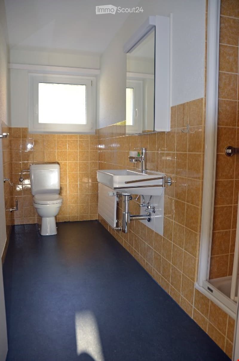 Bathroom with toilet, sink, and shower