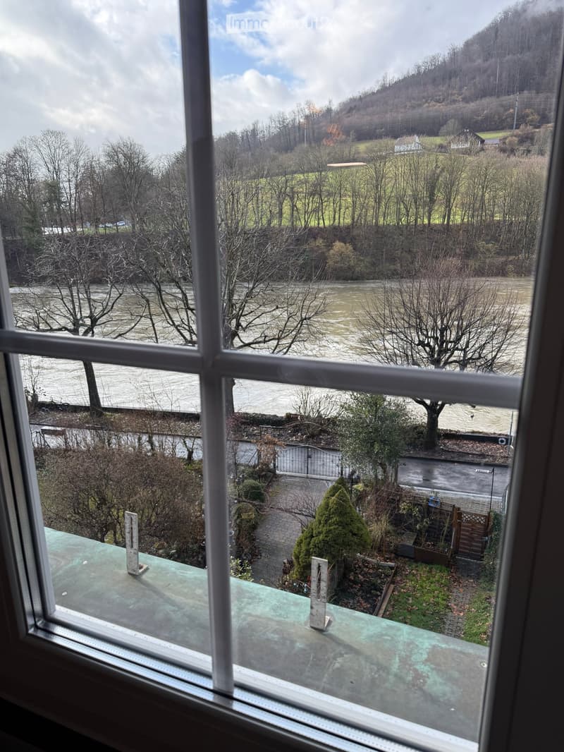 View of a river, trees, and a mountain from a window