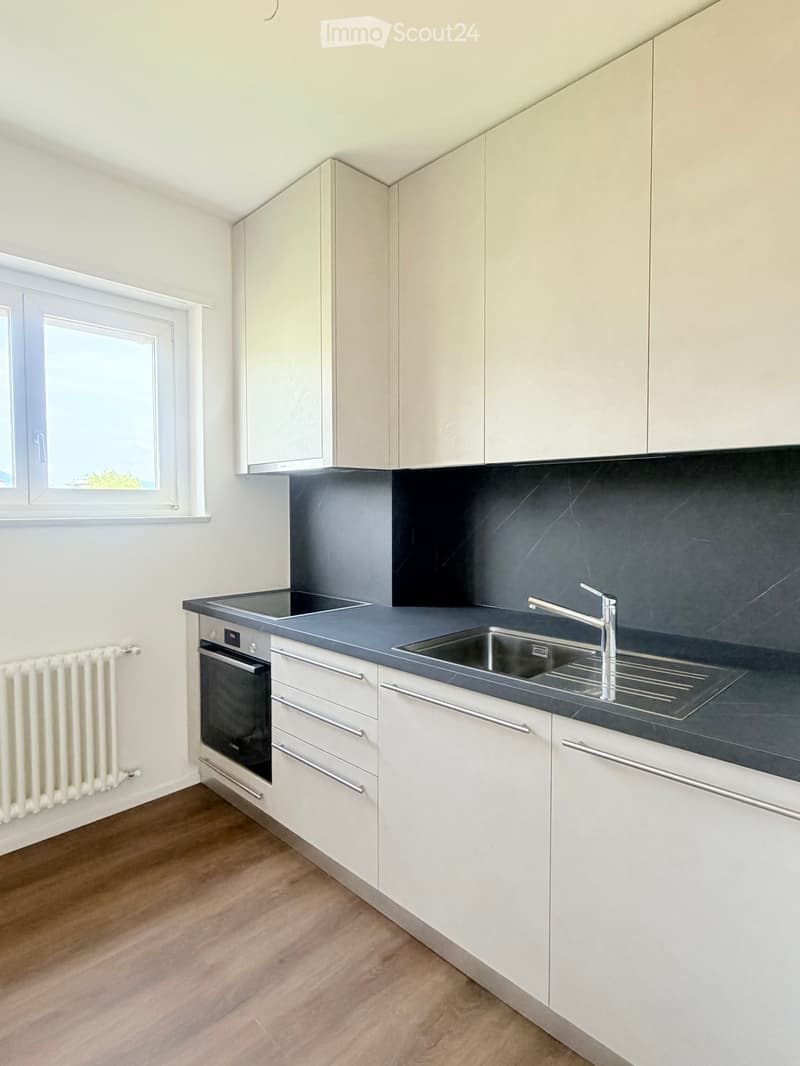 Helles 3.5-Zimmer-Wohnung mit Balkon in Mendrisio renoviert (1)