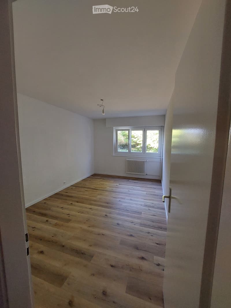 empty room, wooden floor, white walls, window, radiator