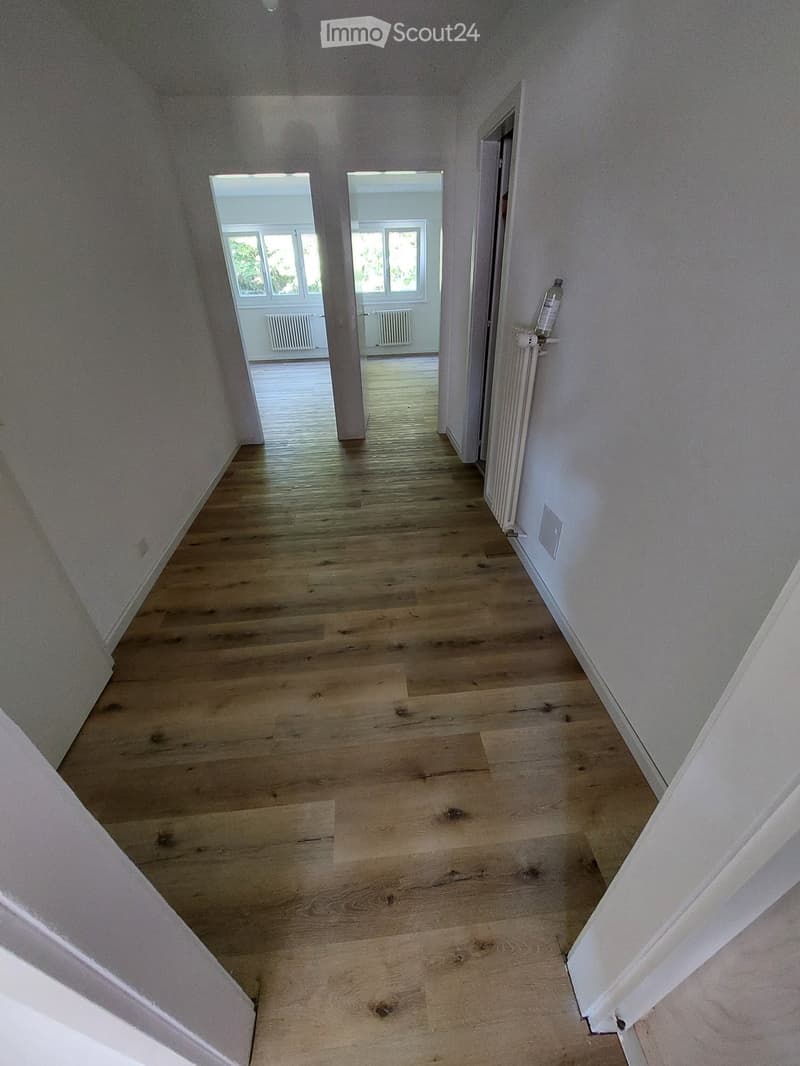 Empty hallway with wooden floor, white walls, and white doors.