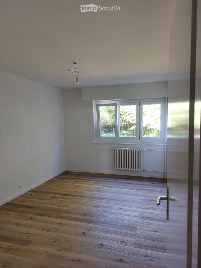 empty room, wooden floor, white walls, window, radiator