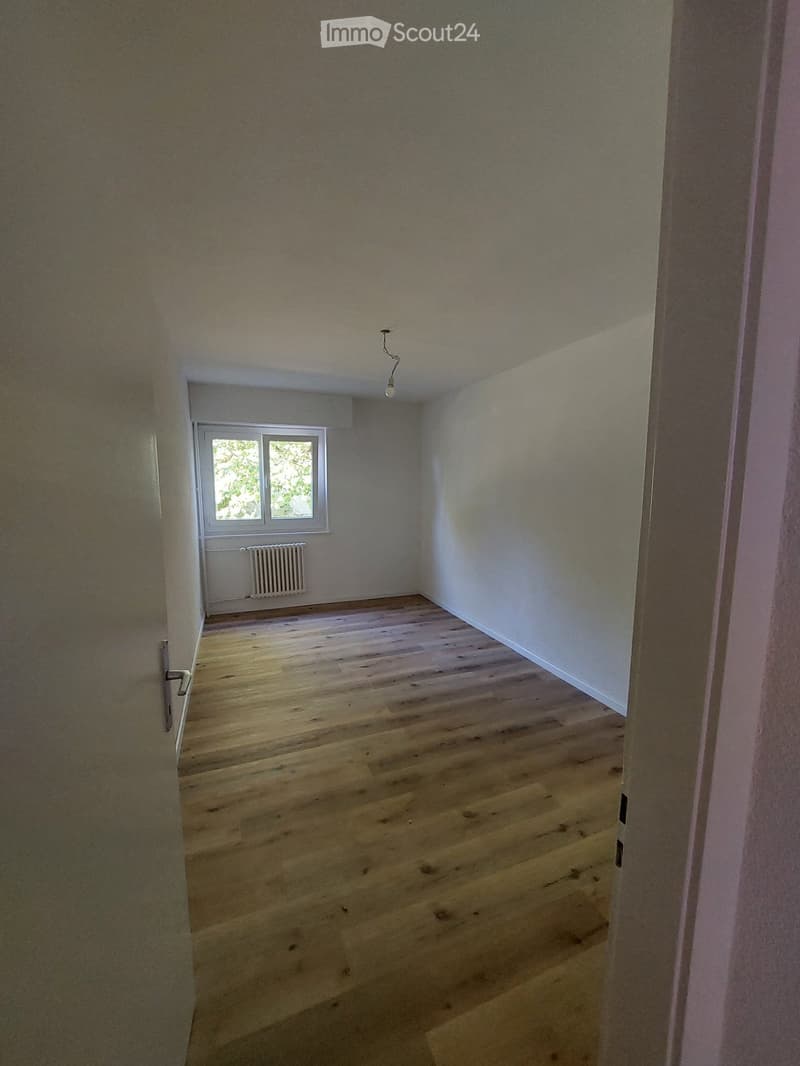empty room, wooden floor, white walls, window, radiator