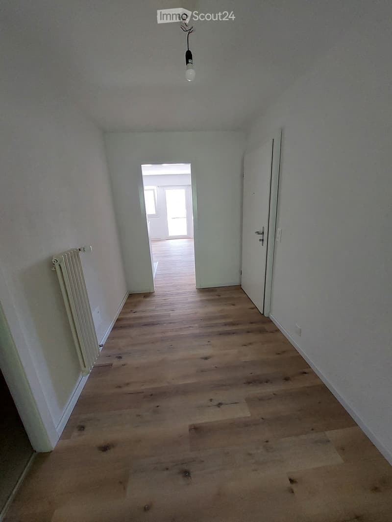 Empty hallway with wooden floor, white walls, white radiator, white door, light bulb