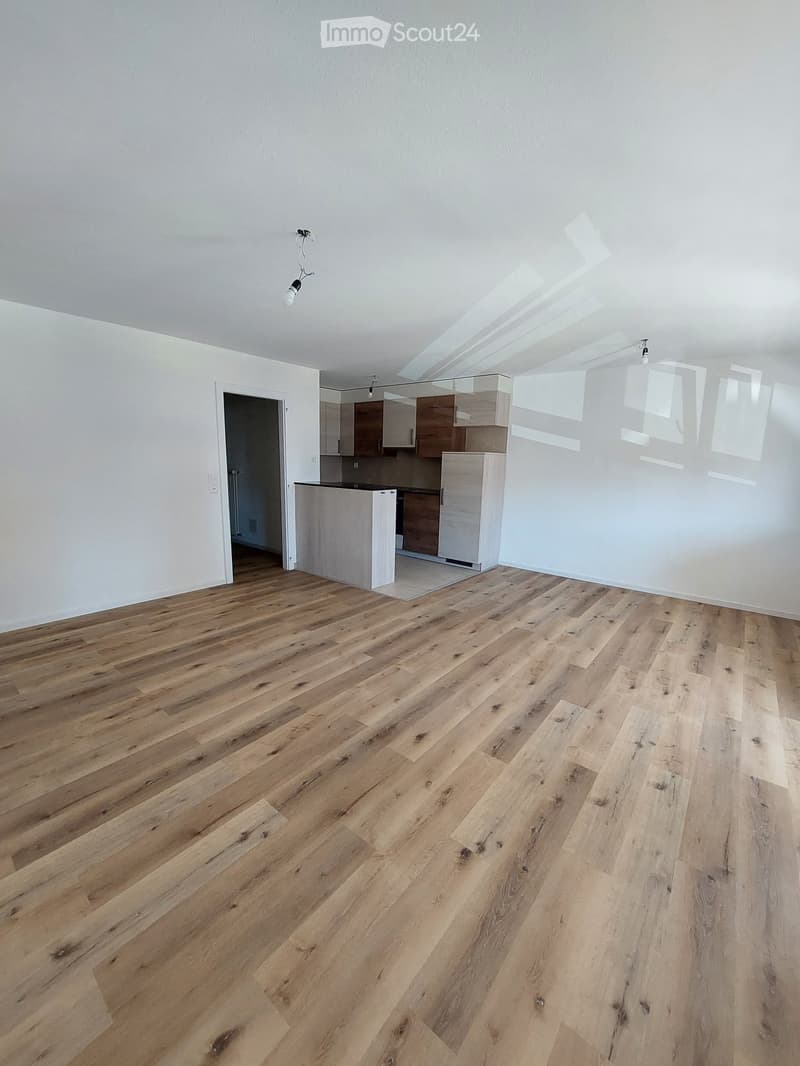 empty room, wooden floor, white walls, open door, kitchen area, cabinets, countertop, ceiling lights