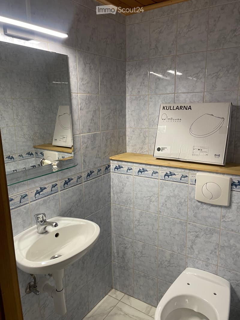 small bathroom with sink, toilet, and mirror