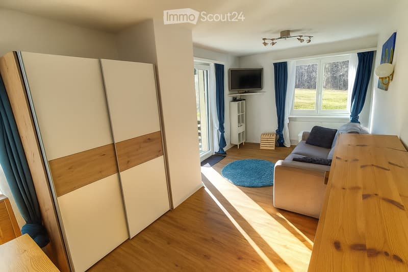 Living room with couch, TV, rug, wooden floor, sliding glass door, wardrobe, wooden table, radiator, wall art, ceiling lights