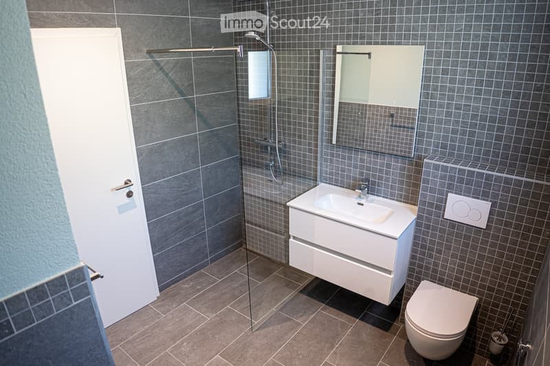 modern bathroom with gray tiles, glass shower enclosure, white sink, mirror, and toilet