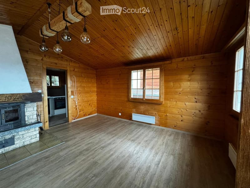 wooden walls, wooden floor, fireplace, windows, radiators, open door to another room