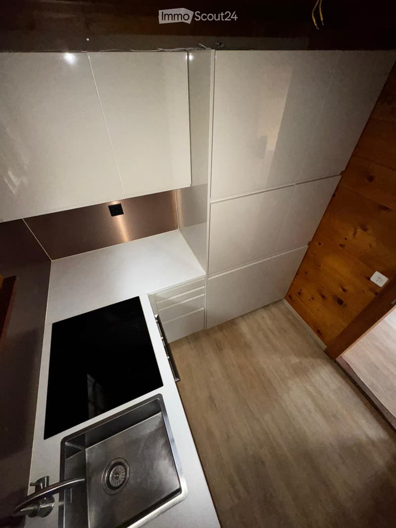 modern kitchen with white cabinets, wooden floor, stainless steel sink, induction hob, dishwasher