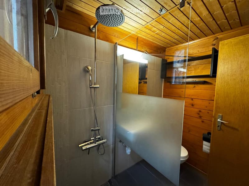small bathroom with shower, toilet, and mirror