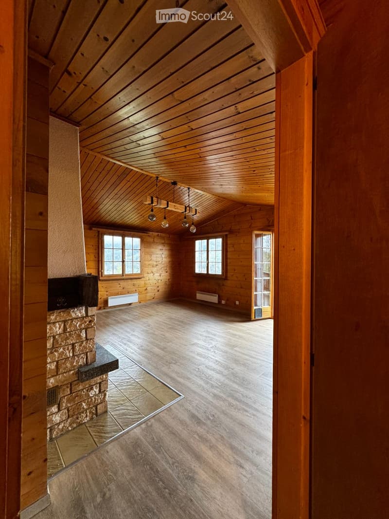 wooden walls, wooden floor, fireplace, windows, ceiling lamps