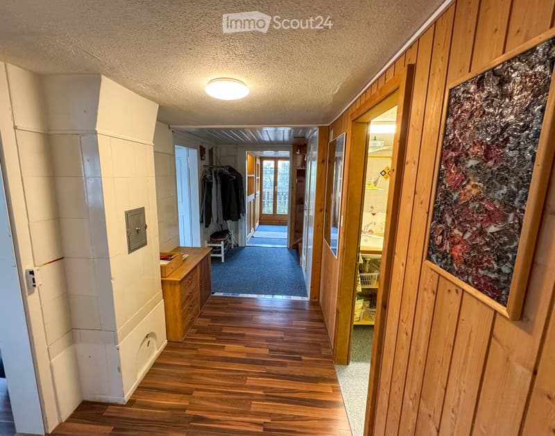wooden floor, wooden walls, hallway, wooden cabinet, clothes hanging, blue carpet, light
