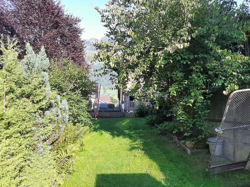 green lawn, trees, shrubs, wooden fence, mountains in the background