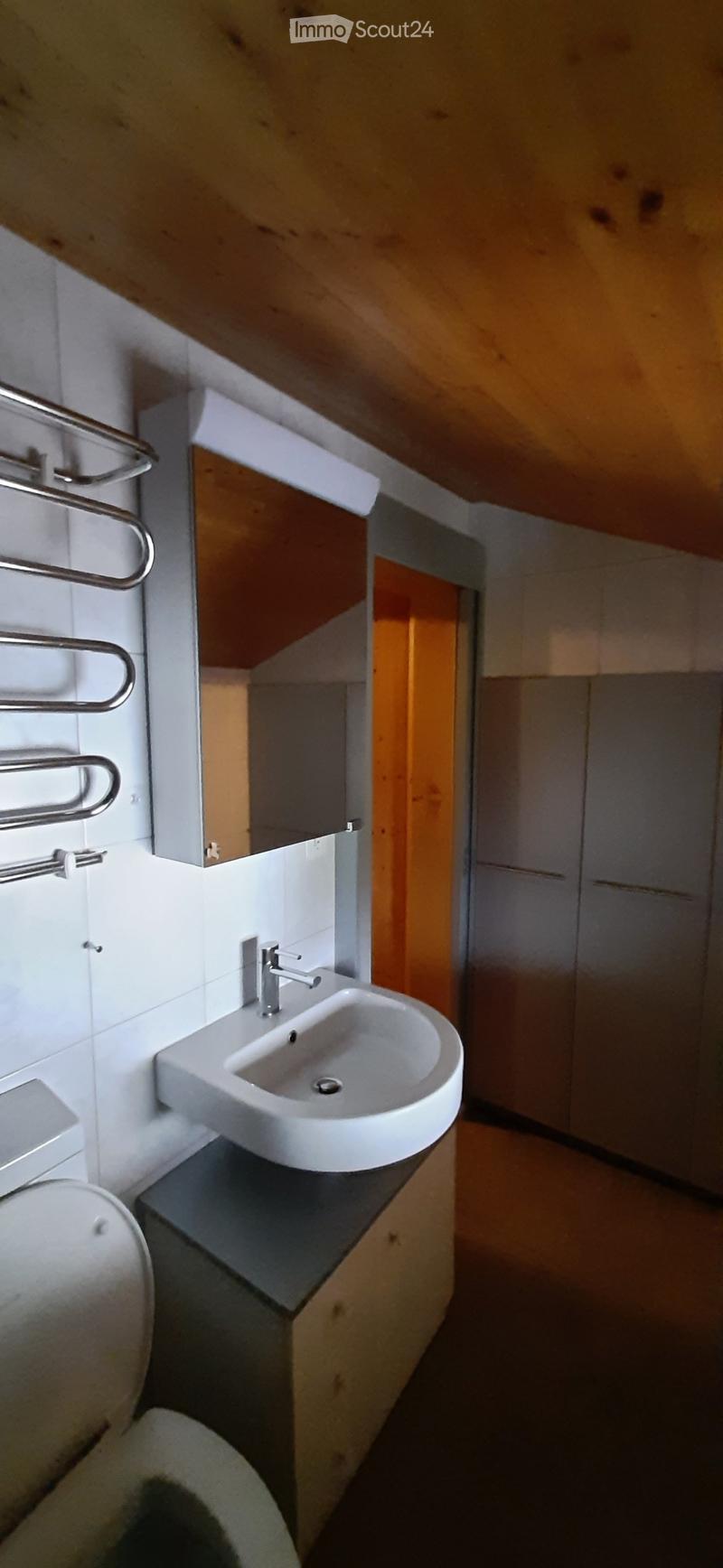 Bathroom with white sink, mirror, toilet, wooden cabinet, towel rack