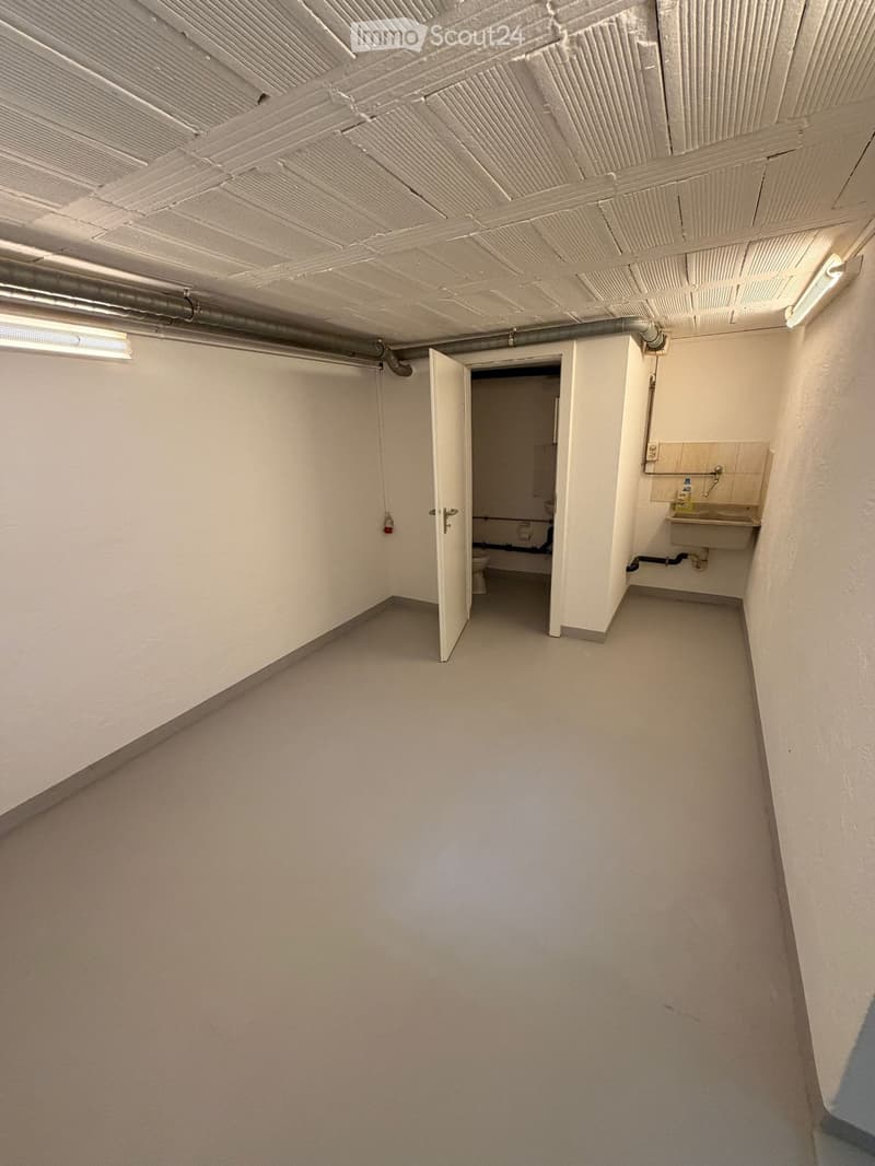 Empty room with white walls, gray floor, open door, sink, toilet, pipes